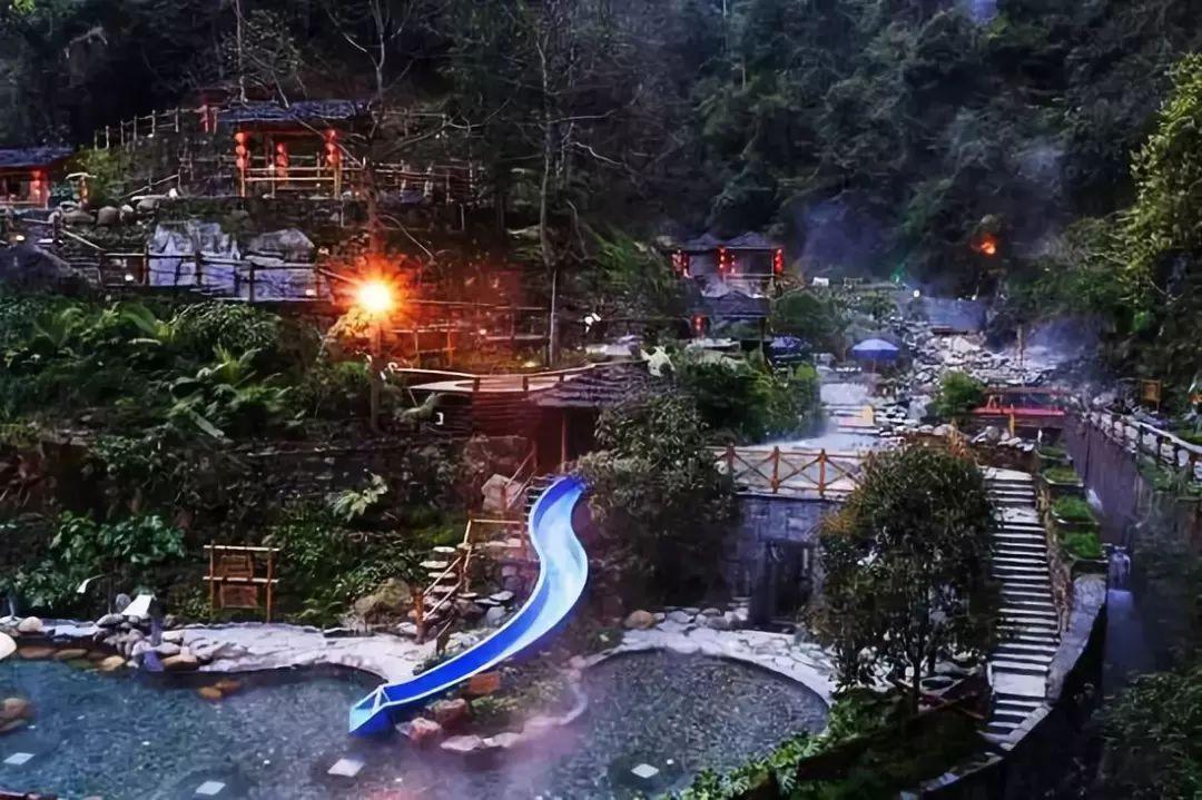 雨后盛放